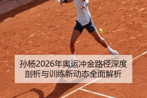 孙杨2026年奥运冲金路径深度剖析与训练新动态全面解析