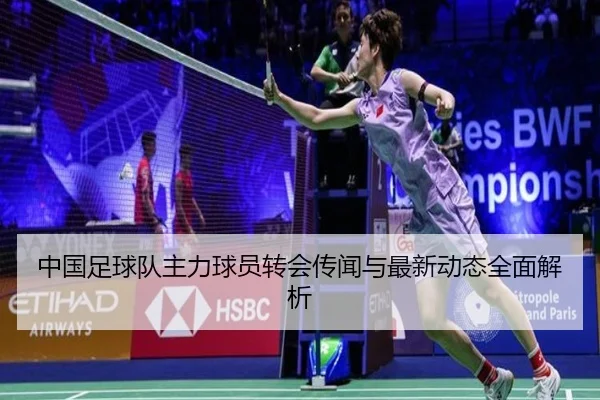 中国足球队主力球员转会传闻与最新动态全面解析